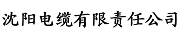 亚洲国产成人AⅤ毛片奶水电缆厂logo